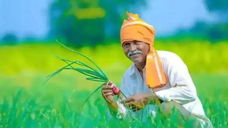 PM Kisan Yojana: तांत्रिक त्रुटींमुळे अनेक शेतकरी वंचित